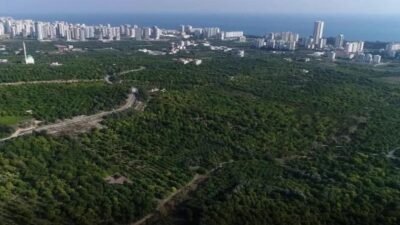 Mersin'in Mezitli ilçesinde narenciye bahçelerinin bulunduğu Davultepe Mahallesi'nin “Organize Tarım