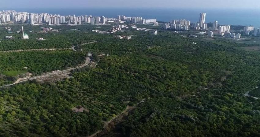 Mersin'in Mezitli ilçesinde narenciye bahçelerinin bulunduğu Davultepe Mahallesi'nin “Organize Tarım