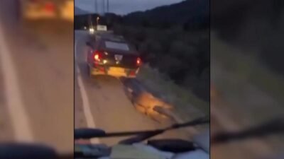 Muğla’nın Seydikemer ilçesinde, bir eşeğin bir aracın arkasına bağlanarak sürüklendiği