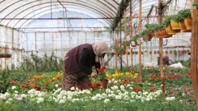 Muğla Büyükşehir Belediyesi, kadınların üretimde ve karar alma mekanizmalarında daha