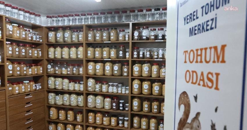 Muğla Büyükşehir Belediyesi Yerel Tohum Merkezi, 2026 yılında Türkiye’nin 81