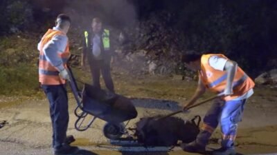 Muratpaşa Belediyesi,  yetki alanı dışında yer almasına rağmen, vatandaşlardan