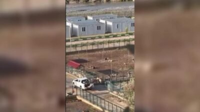 Osmaniye’deki geçici hayvan barınağından sosyal medyaya yansıyan görüntüler üzerine bir