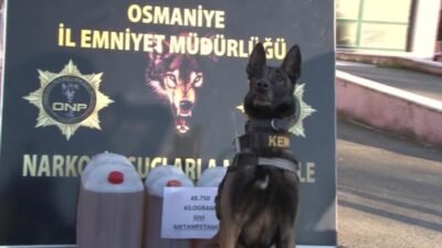 Osmaniye İl Emniyet Müdürlüğü ekipleri, uyuşturucuyla mücadele kapsamında gerçekleştirilen operasyonda