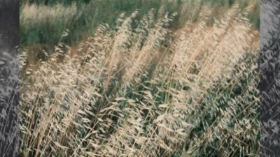 Ozan Çoban, akustik ve elektronik öğeleri bir araya getirdiği müzik