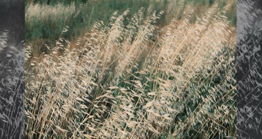 Ozan Çoban, akustik ve elektronik öğeleri bir araya getirdiği müzik