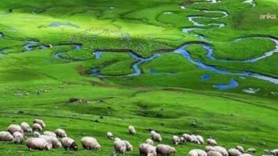Ordu'da Aybastı, Perşembe ve Korgan sakinleri madenciliğe karşı 8 Mayıs