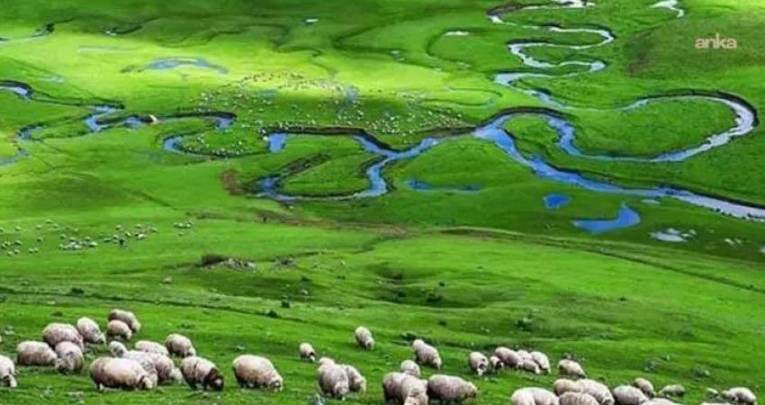 Ordu'da Aybastı, Perşembe ve Korgan sakinleri madenciliğe karşı 8 Mayıs