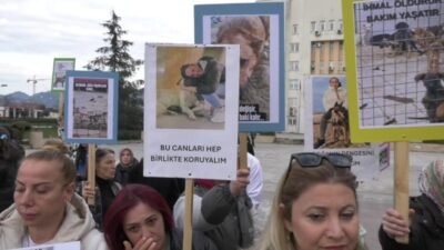 Rize’de hayvanseverler, 18 belediyenin ortak kurduğu Rize İli Sahipsiz Hayvanları Koruma