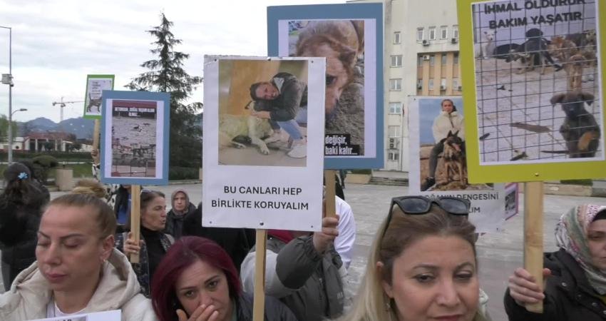Rize’de hayvanseverler, 18 belediyenin ortak kurduğu Rize İli Sahipsiz Hayvanları Koruma