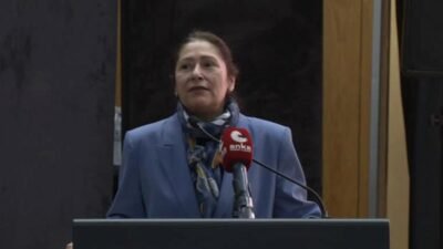 Sosyal Demokrasi Derneği'nin(SDD), düzenlediği “Dokuz Umde’den Sosyal Demokrat Programa” etkinliğinde