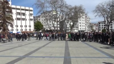 Sinop Belediye Başkanlığı tarafından belediye hizmetlerinde kullanılmak üzere temin edilen