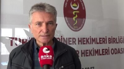 Sinop Veteriner Hekimleri Odası Başkanı Doğan Özdemir, "Meslek hakları denince
