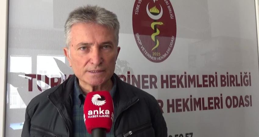 Sinop Veteriner Hekimleri Odası Başkanı Doğan Özdemir, "Meslek hakları denince