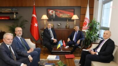 TBMM Dışişleri Komisyonu Başkanı Fuat Oktay, "Kırım Tatar Milli Meclisi