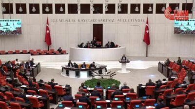 CHP Bursa Milletvekili Nurhayat Altaca Kayışoğlu, yurt dışında yaşayan Türk