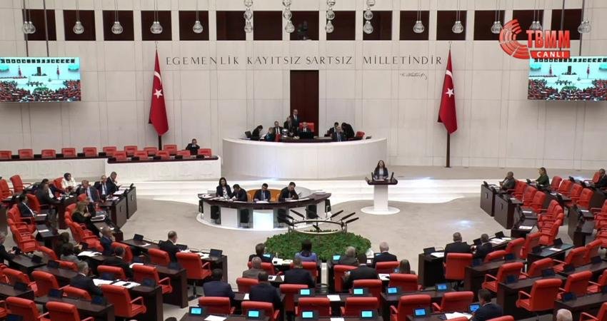 CHP Bursa Milletvekili Nurhayat Altaca Kayışoğlu, yurt dışında yaşayan Türk