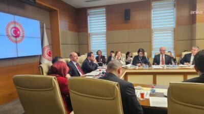 TBMM Sağlık, Aile, Çalışma ve Sosyal İşler Komisyonu'nda, doğum izninin