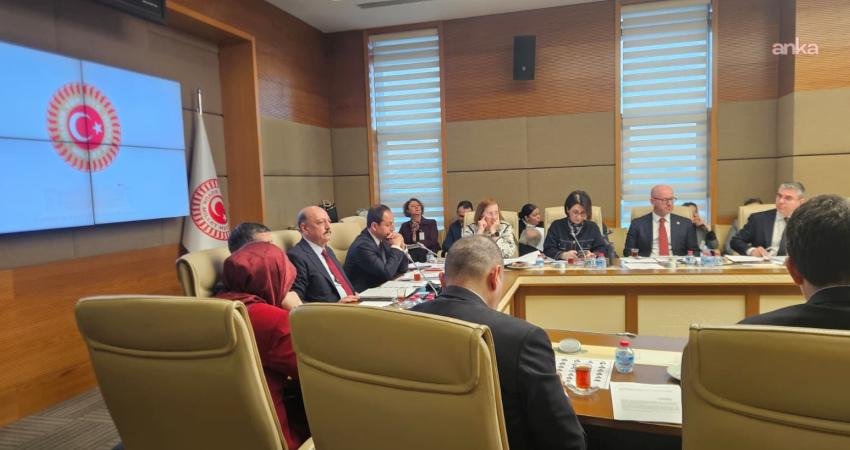 TBMM Sağlık, Aile, Çalışma ve Sosyal İşler Komisyonu'nda, doğum izninin
