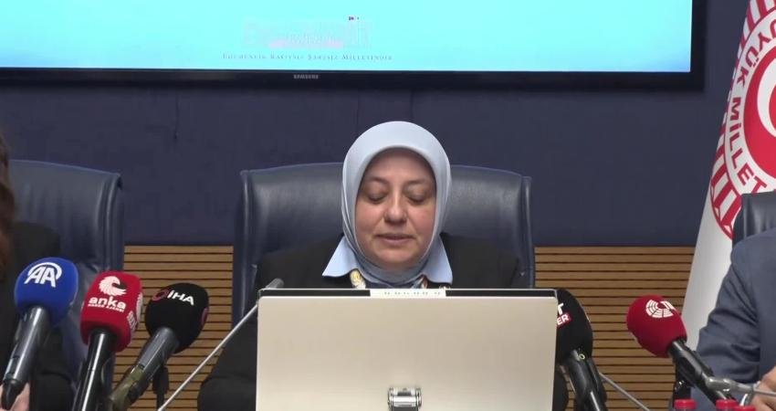 TBMM'de Akran Zorbalığının Araştırılması Alt Komisyonu’nda kurum temsilcileri, dijital risklerin