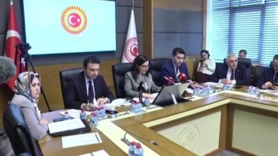 TBMM'de Suça Sürüklenen Çocuklara Yönelik Araştırma Komisyonu'nda, suça sürüklenen çocuklara ilişkin