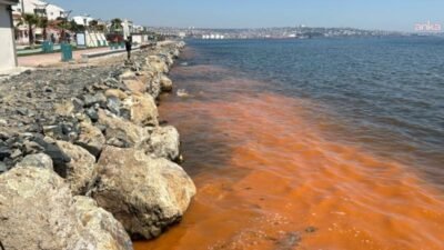 Tekirdağ’ın yaklaşık 135 kilometrelik sahil şeridinde özellikle ilkbahar ve yaz