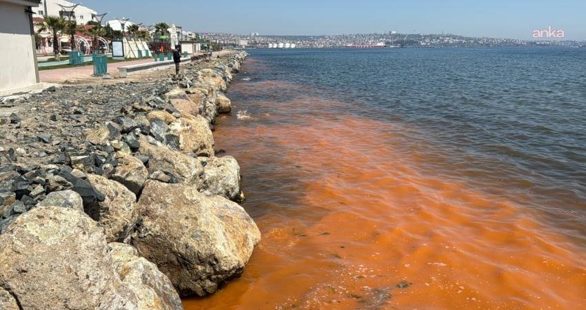 Tekirdağ’ın yaklaşık 135 kilometrelik sahil şeridinde özellikle ilkbahar ve yaz