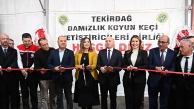 Tekirdağ Büyükşehir Belediyesi öncülüğünde düzenlenen "Küçükbaş Hayvancılık Festivali", Malkara Eski