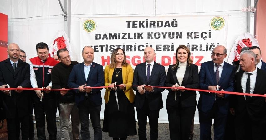 Tekirdağ Büyükşehir Belediyesi öncülüğünde düzenlenen "Küçükbaş Hayvancılık Festivali", Malkara Eski