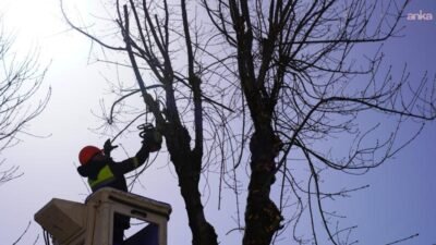Tepebaşı Belediyesi ekipleri, ilçe genelinde bulunan cadde, sokak ve parklarda