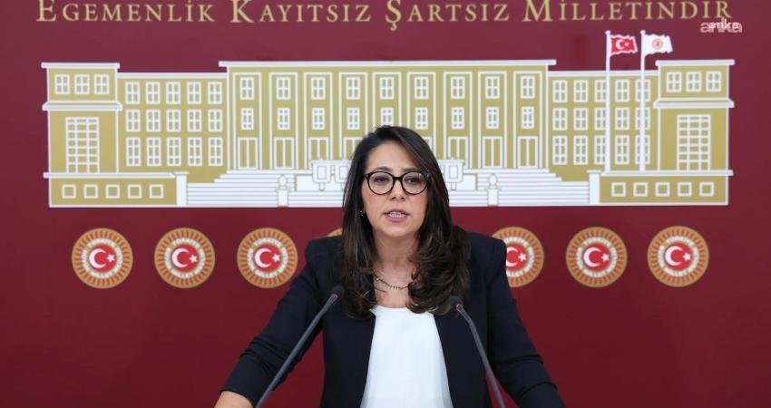 Türkiye İşçi Partisi (TİP) Sözcüsü Sera Kadıgil, 18 yaşındaki üniversite