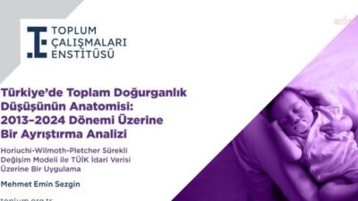Toplum Çalışmaları Enstitüsü raporuna göre, Türkiye’de toplam doğurganlık hızı 2013–2024