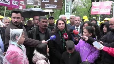 DEM Parti Eş Genel Başkanı Tülay Hatimoğulları, ücret ve tazminat