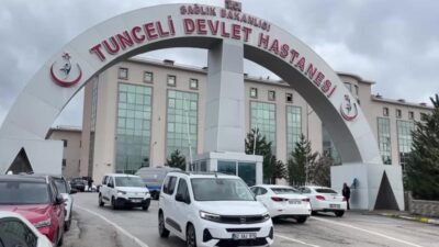 Tunceli’nin Mazgirt İlçesine bağlı Kayacı Köyü’nde bir dananın bahçeye girmesi
