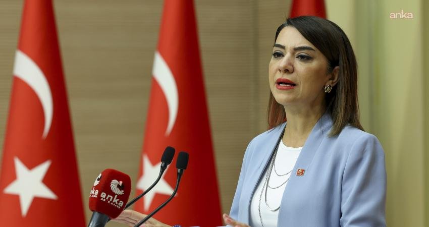 CHP Çalışma ve Sosyal Güvenlik Politikaları Kurulu Başkanı Gamze Taşcıer,