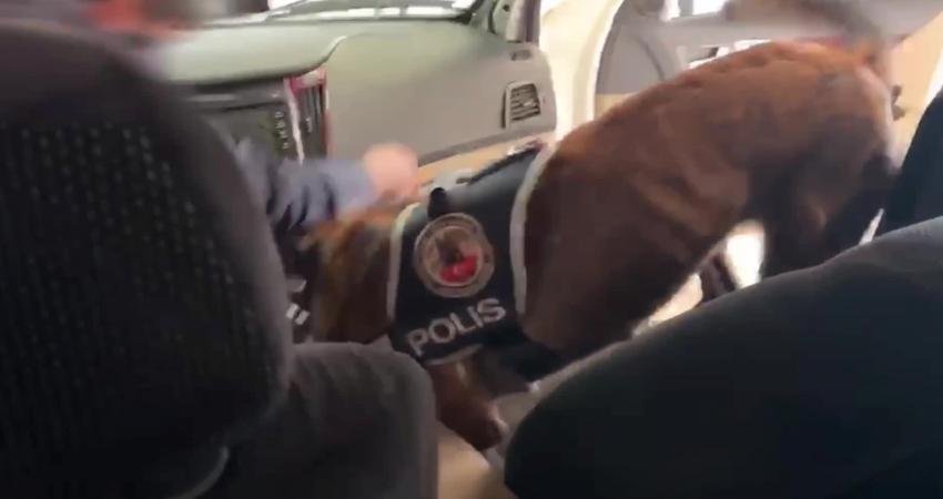 Van’da polis ekiplerinin düzenlediği operasyonlarda 4 kilo 700 gram metamfetamin