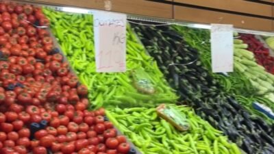 Ekonomist ve Vergi Uzmanı Reşat Ebiri, Van’da kişi başına gelirin