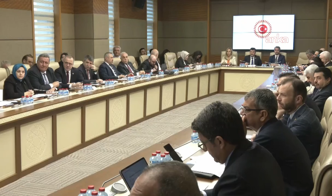 TBMM Sağlık, Aile, Çalışma ve Sosyal İşler Komisyonu’nda, kadınların doğum iznini