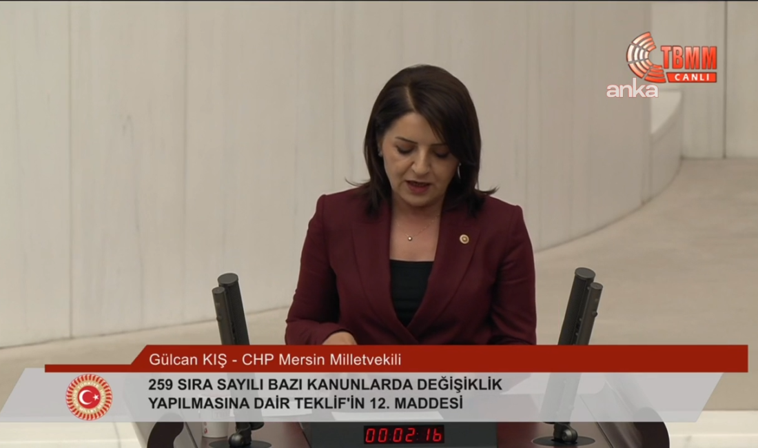 TBMM'de vergi düzenlemelerini içeren teklif görüşülürken CHP’li Gülcan Kış, "Saatin