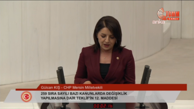 TBMM'de vergi düzenlemelerini içeren teklif görüşülürken CHP’li Gülcan Kış, "Saatin