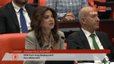 MHP Grup Başkanvekili Erkan Akçay, "Terörsüz Türkiye" sürecinde atılacak yasal adımlar