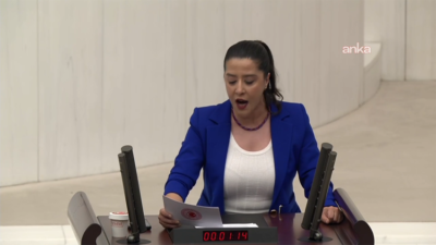 EMEP Gaziantep Milletvekili Sevda Karaca, TBMM Genel Kurulu'nda 23 Nisan