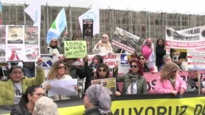 Yaşam hakkı savunucuları İstanbul İl Hayvanları Koruma Kurulu'nun toplantı yaptığı