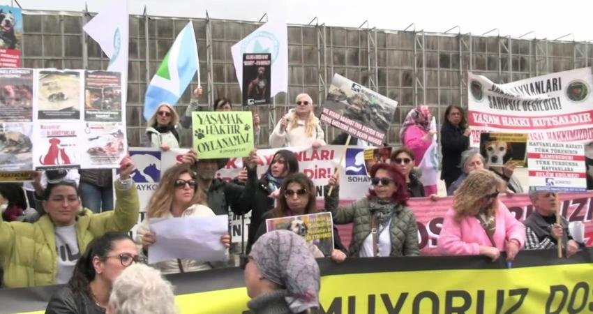 Yaşam hakkı savunucuları İstanbul İl Hayvanları Koruma Kurulu'nun toplantı yaptığı