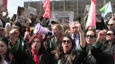 İstanbul İl Hayvanları Koruma Kurulu toplantısında, kampüslerdeki köpeklerin toplatılmasını ve