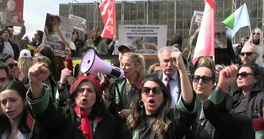 İstanbul İl Hayvanları Koruma Kurulu toplantısında, kampüslerdeki köpeklerin toplatılmasını ve