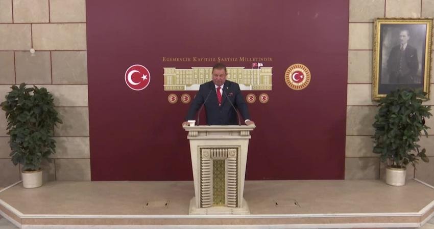 Yeniden Refah Partisi Genel Başkan Yardımcısı ve İstanbul Milletvekili Doğan