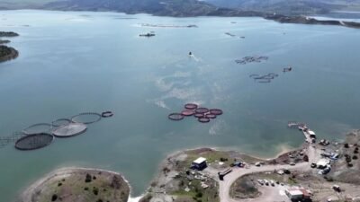 Yozgat’ın Çekerek ilçesinde 2011'den beri su tutulan Çekerek Barajı, tarım