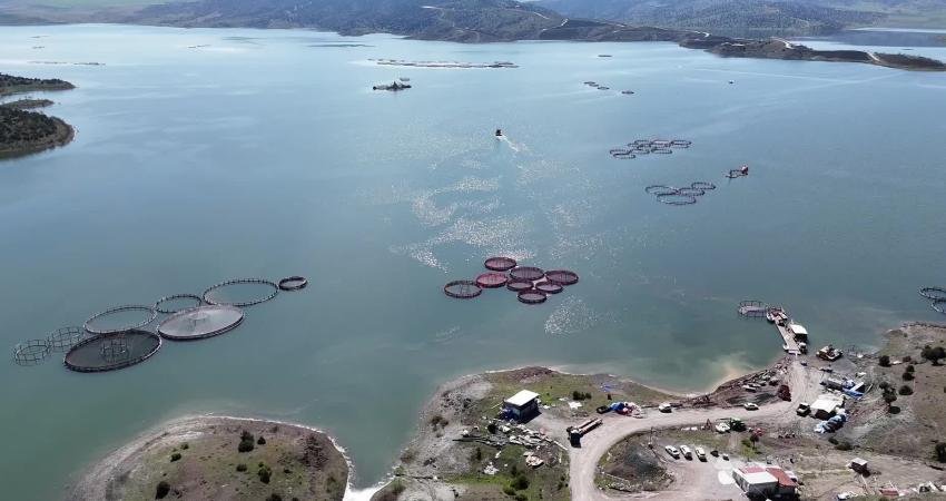 Yozgat’ın Çekerek ilçesinde 2011'den beri su tutulan Çekerek Barajı, tarım