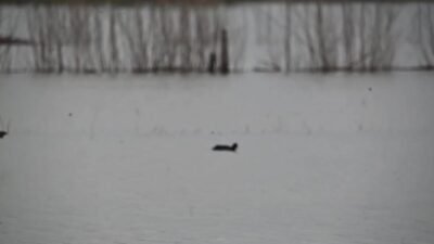 Son yılların enf azla yağış alan illerinden Yozgat'ta, doluluk oranı